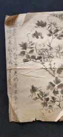 海外回流字画手绘名家画稿花卉图软片D3067