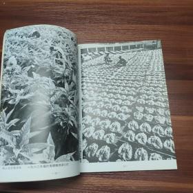 梁炳生新闻图片纪念集 中国新闻社采访工作二十载情