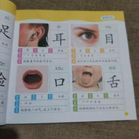 幼小衔接(学前必备)常用字:识字大王1280字组词 造句 笔顺