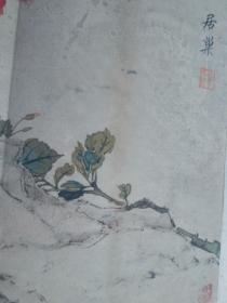 清代画家居巢国画精品 印刷品绢布写意花鸟国画斗方（居巢 居廉兄弟，开岭南画派先河）