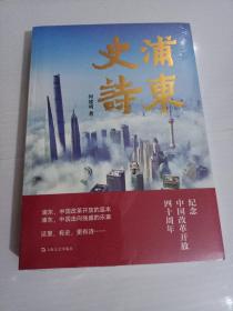 浦东史诗