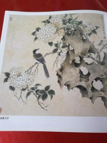 工笔花鸟画法7（王勇胜工笔花鸟画技法 步骤 工笔蝴蝶画法步骤）中国画技法丛书