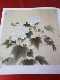 工笔花鸟画法7（王勇胜工笔花鸟画技法 步骤 工笔蝴蝶画法步骤）中国画技法丛书