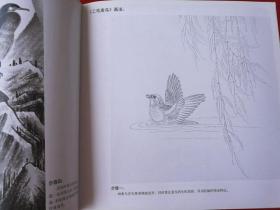 工笔花鸟画法7（王勇胜工笔花鸟画技法 步骤 工笔蝴蝶画法步骤）中国画技法丛书