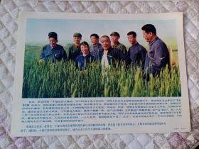 新闻展览照片农村普及版:大寨县——昔阳（18张全）