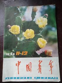 中国青年1981/11-12