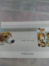 犬疑难病的诊疗与针灸图谱