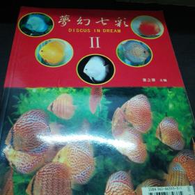 梦幻七彩II