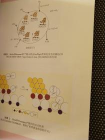 黄金的催化作用：现象·原理·应用