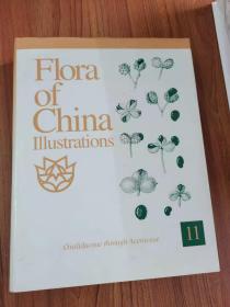 Flora of China-Illustrations 11
