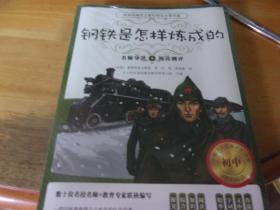 钢铁是怎样炼成的  名师导读+阅读测评-- 16开未开封,内有附赠阅读测评手册