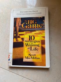 The BIG Game :10 Strategies Winning at Life Scott MacMillan