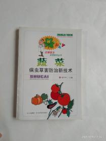 蔬菜虫病草害防治新技术