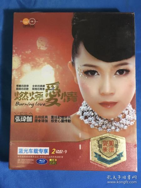 车载dvd 张玮伽