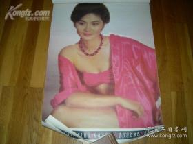1990年美女明星泳装挂历 余十二张 [新姿]刘晓庆，周洁，刘丽军等明星