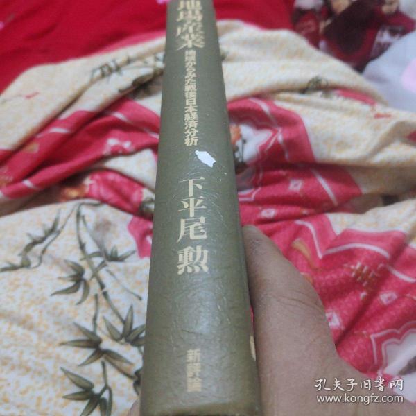 日文版:地场产业一地城:战后日本经济分析