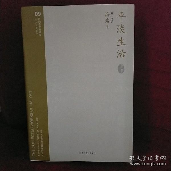 海岩小说典藏版09：平淡生活