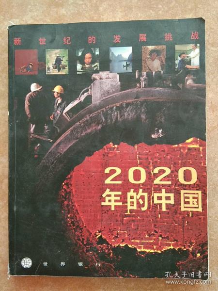 2020年的中国