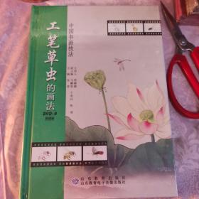 工笔草虫的画法（DVD）