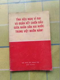 中越两国人民的伟大友谊和战斗团结万岁！