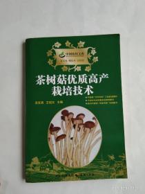 茶树菇优质高产栽培新技术