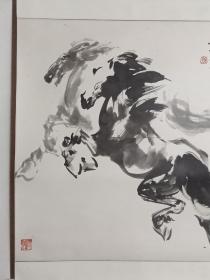 保真书画，北京湖社画会孙继刚《双骏图》一幅，原装裱镜心，尺寸66×66.5cm