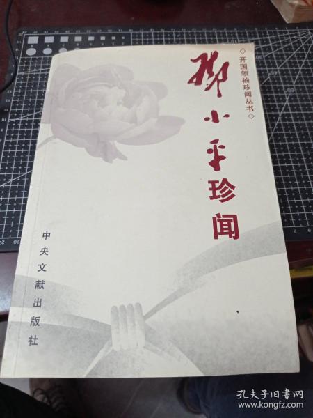 邓小平珍闻