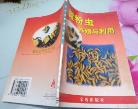 黄粉虫养殖与利用