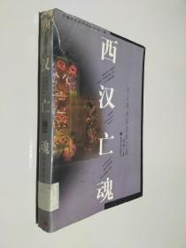中国文化史探秘丛书(第二辑)西汉亡魂