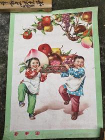 奇果图—宣传年画—1961年第二次印刷