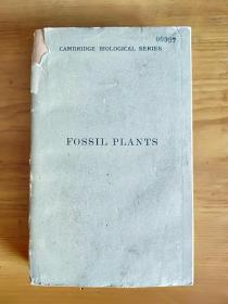 Cambrid ge Biological Series   FOSSIL PLANTS VOLUME 4 (剑桥大学生物学丛书 植物化石 卷4）