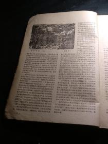 上海文学（1960/5/3）