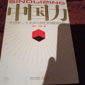 中国力：大历史、大未来与我们的强国法则