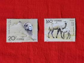 邮票   1993—3    野骆驼