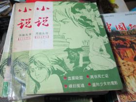 小说周报丛刊杂志1985年第2期（共两本）：血案疑踪