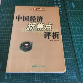 中国经济新焦点评析：反思与展望