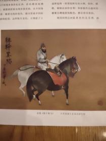 图片一张(36cmx26cm)