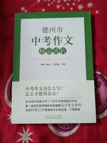 德州市中考作文精品选析