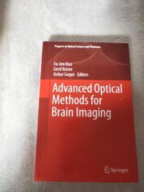 Advanced Optical Methods for Brain lmaging