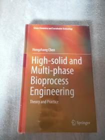 High-solid and Multi-phase Bioprocess Engineering