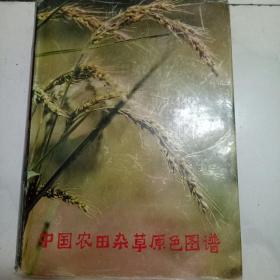 中国农田杂草原色图谱