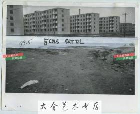 1965年北京西郊地区建立起的整排楼房老照片，当时这是相当现代化的建筑公寓了，位于北京海淀或石景山一带，不知道这些楼的现在的情况如何