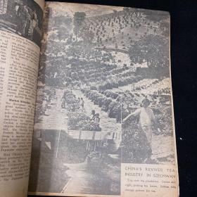 民国抗战时期稀见期刊《THE CHINA FORTNIGHTLY 英文中国半月刊》Vol.2 No.24 1941年7月1日出版 中国正面战场抗战的很多讯息