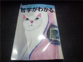 哲学がわかる  朝日新闻社 1995年 16开平装 原版日本日文画册 图片实拍