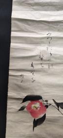 日本回流字画手绘花卉图软片D3168