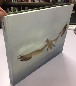 Bringing Back the Birds 探索整个美洲的迁徙和保护鸟类