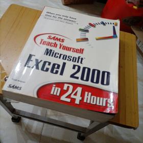 sansTeachYourself. Microsoft
Excel2000.in24Hours