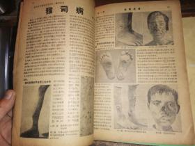 科学画报 第十四卷 第二期 48年2月合刊      （民国37年刊）   荠文 李玉廉 祖周等专著