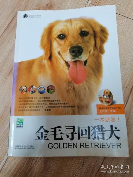 金毛寻回猎犬