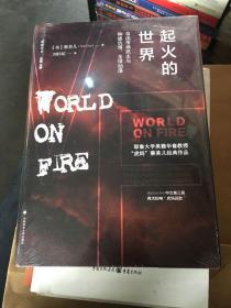 起火的世界：自由市场民主与种族仇恨、全球动荡（第二版）/雅理译丛